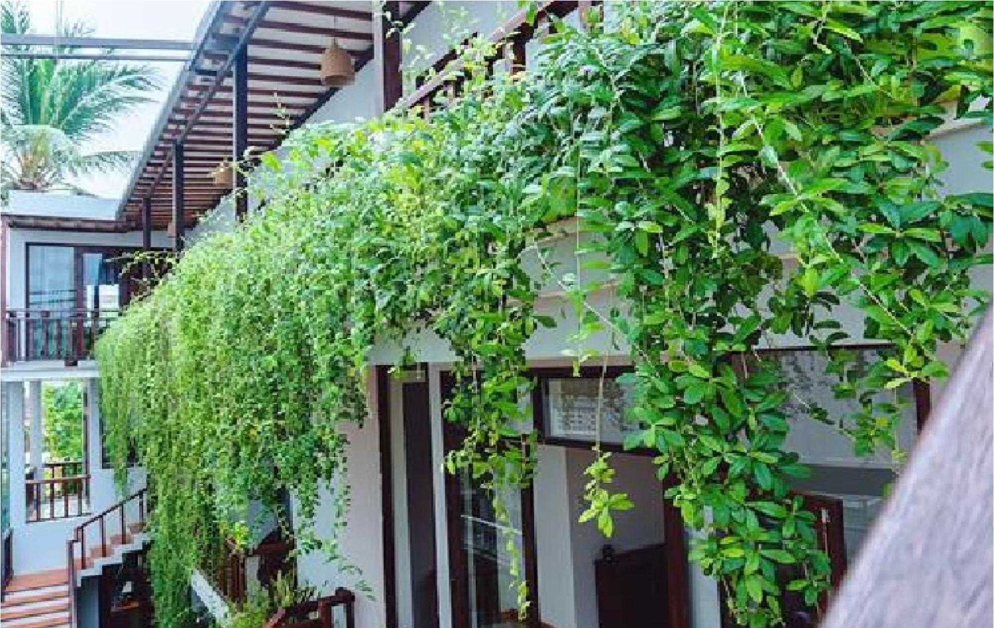 Riverside Plum Garden Villa Hoi An Esterno foto